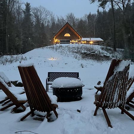 Catskills Cabin: Hot Tub, Firepit, Wfh, Ski, Games Lexington Exterior photo