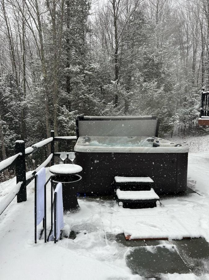 Catskills Cabin: Hot Tub, Firepit, Wfh, Ski, Games Lexington Exterior photo