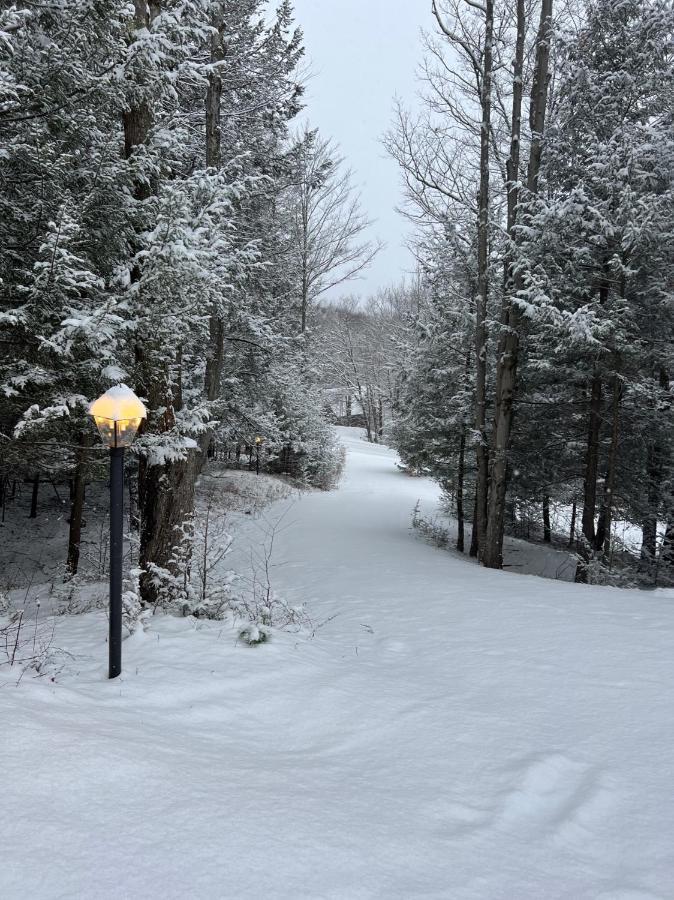 Catskills Cabin: Hot Tub, Firepit, Wfh, Ski, Games Lexington Exterior photo