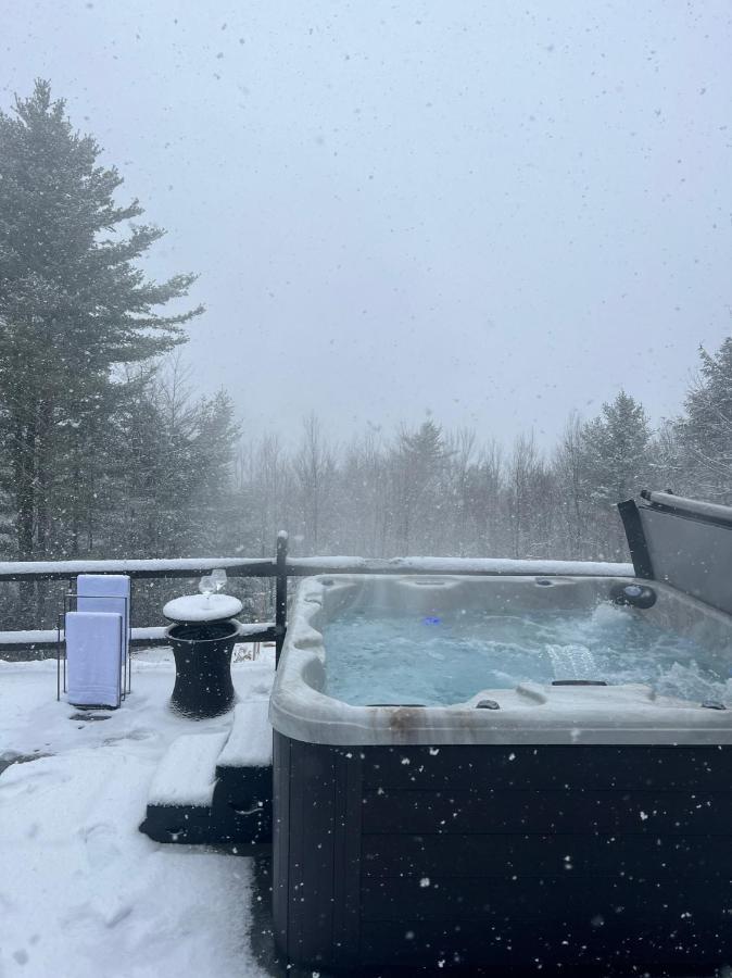 Catskills Cabin: Hot Tub, Firepit, Wfh, Ski, Games Lexington Exterior photo