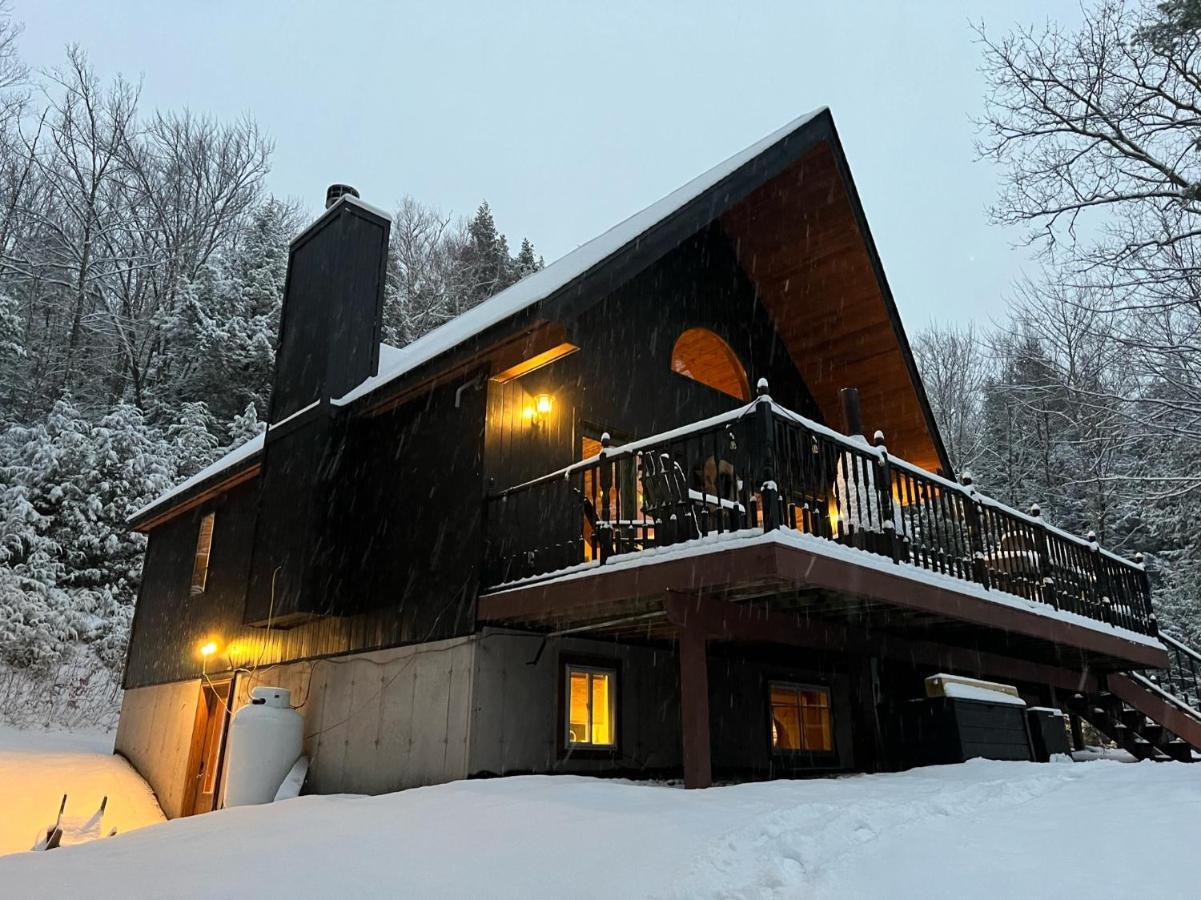 Catskills Cabin: Hot Tub, Firepit, Wfh, Ski, Games Lexington Exterior photo