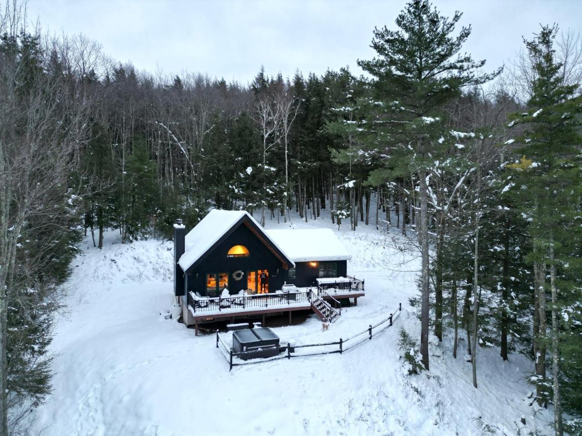 Catskills Cabin: Hot Tub, Firepit, Wfh, Ski, Games Lexington Exterior photo