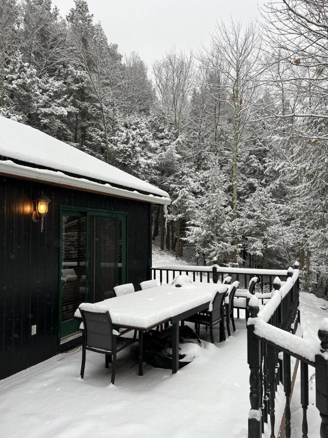 Catskills Cabin: Hot Tub, Firepit, Wfh, Ski, Games Lexington Exterior photo